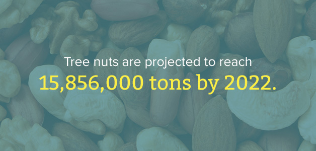 tree nut industry projection