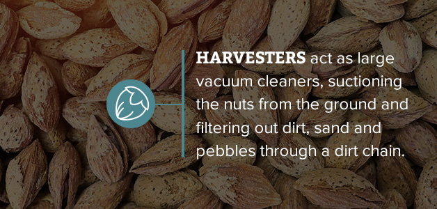 how nut harvesting machines work