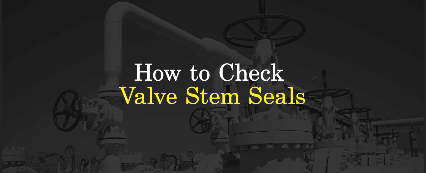 01 How to Check Valve steam Seals